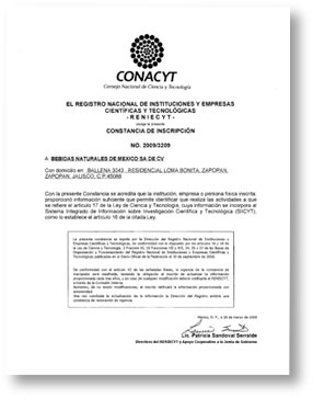 constancia conacyt